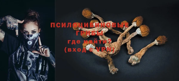 метадон Арсеньев