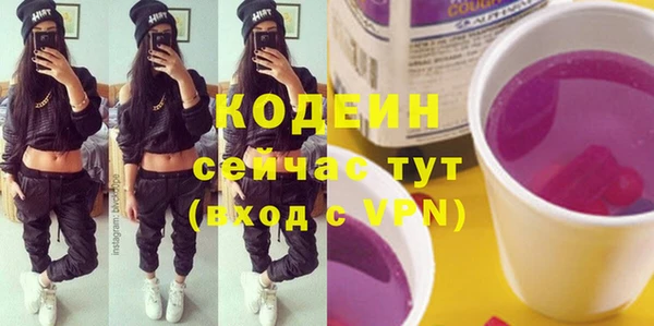 стаф Балахна